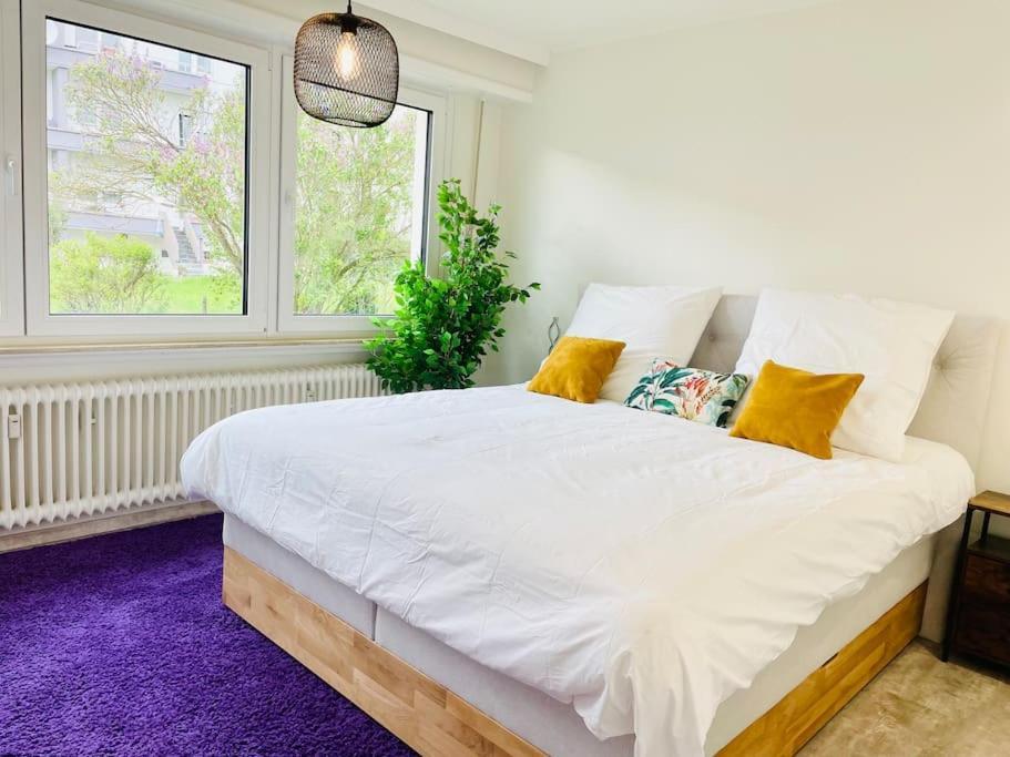Luxury 3 Bedrooms In Center With Terrace And Parking -bon1 Appartement *