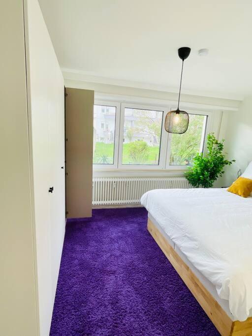 Appartement Luxury 3 Bedrooms In Center With Terrace And Parking -bon1 *